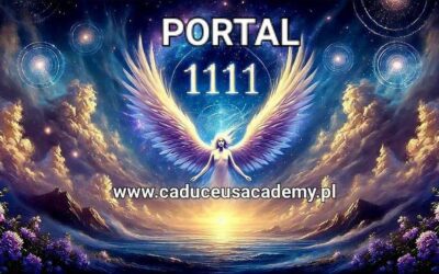 Portal 11.11