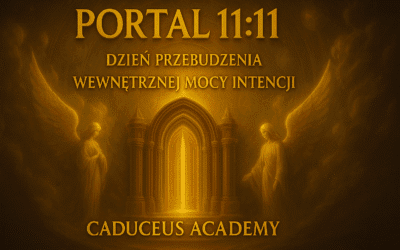 portal 11/11 – moment przebudzenia intencjii